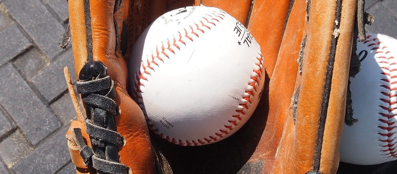 outfield glove and baseball glove