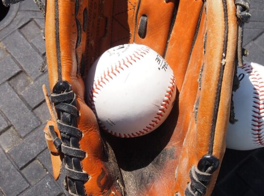 outfield glove and baseball glove